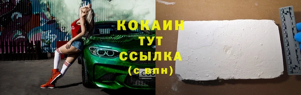 сатива Белокуриха