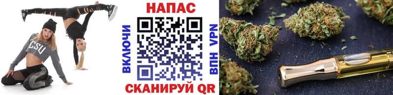 Бошки Шишки VHQ  Калуга 